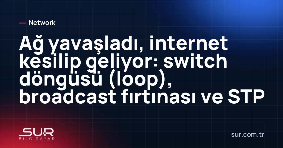 Switch üzerinde aynı cihaza iki ucu takılmış patch kablo ve hızla yanıp sönen port ışıkları