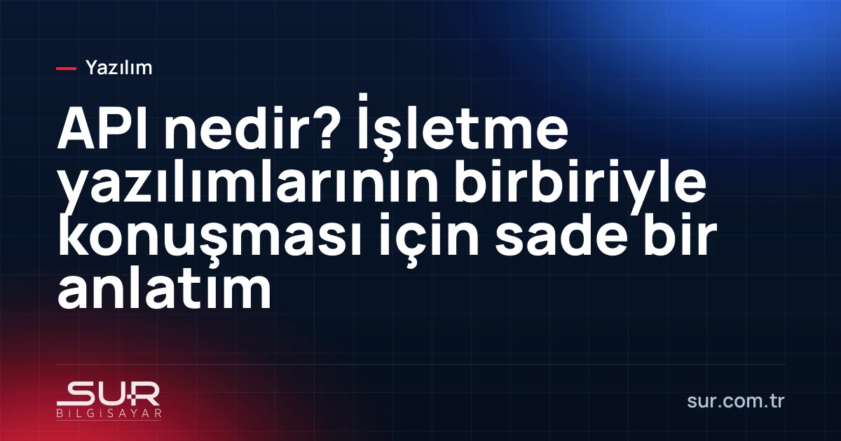 Farklı yazılımların API üzerinden birbirine bağlandığı şema
