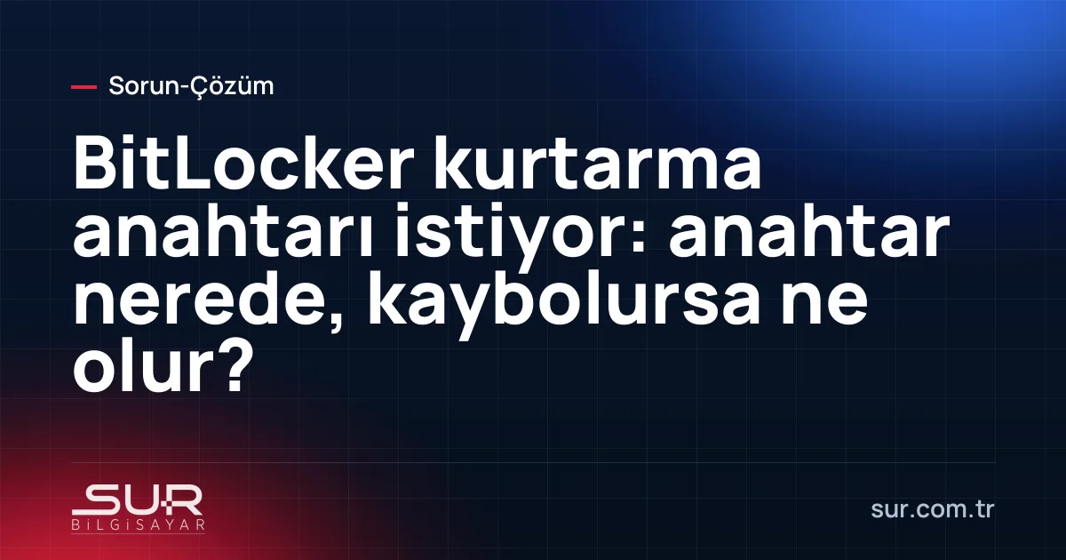 Mavi BitLocker kurtarma ekranında 48 haneli anahtar giriş alanı