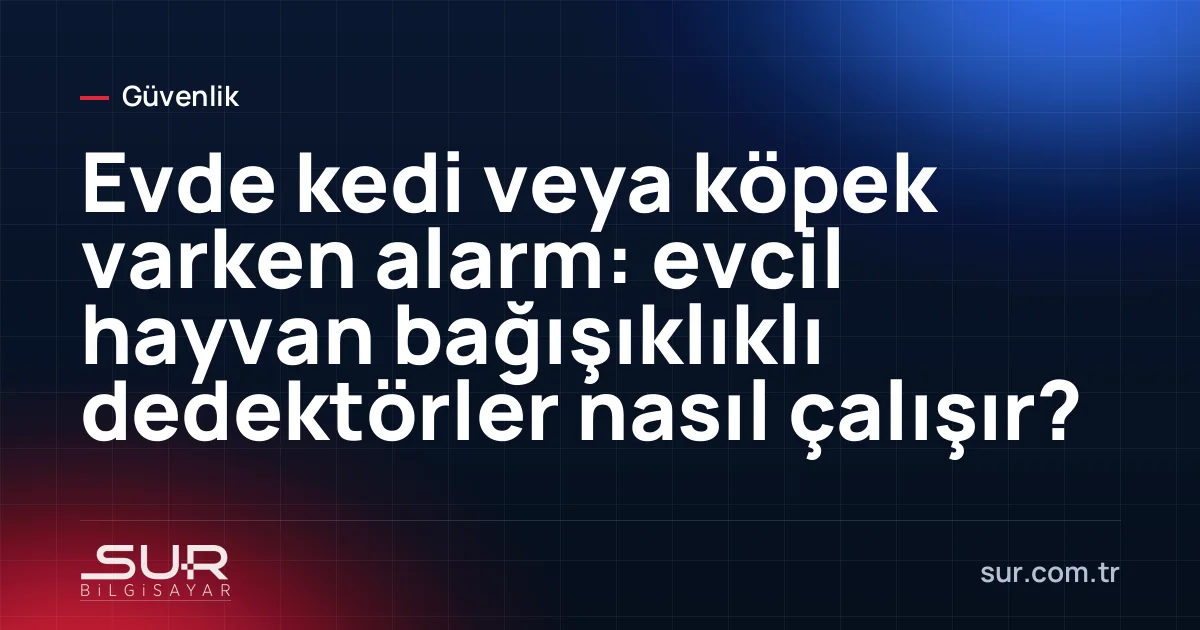Salonda dolaşan kedi ve duvardaki hareket dedektörü