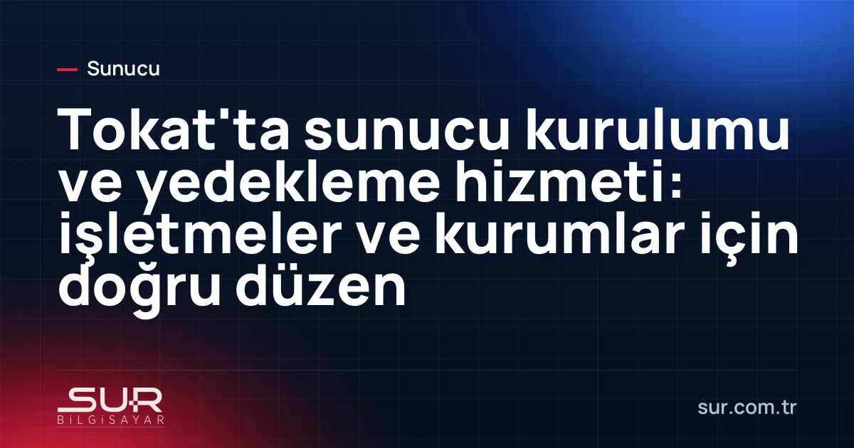 Küçük işletme sunucusu, UPS ve yedekleme diski