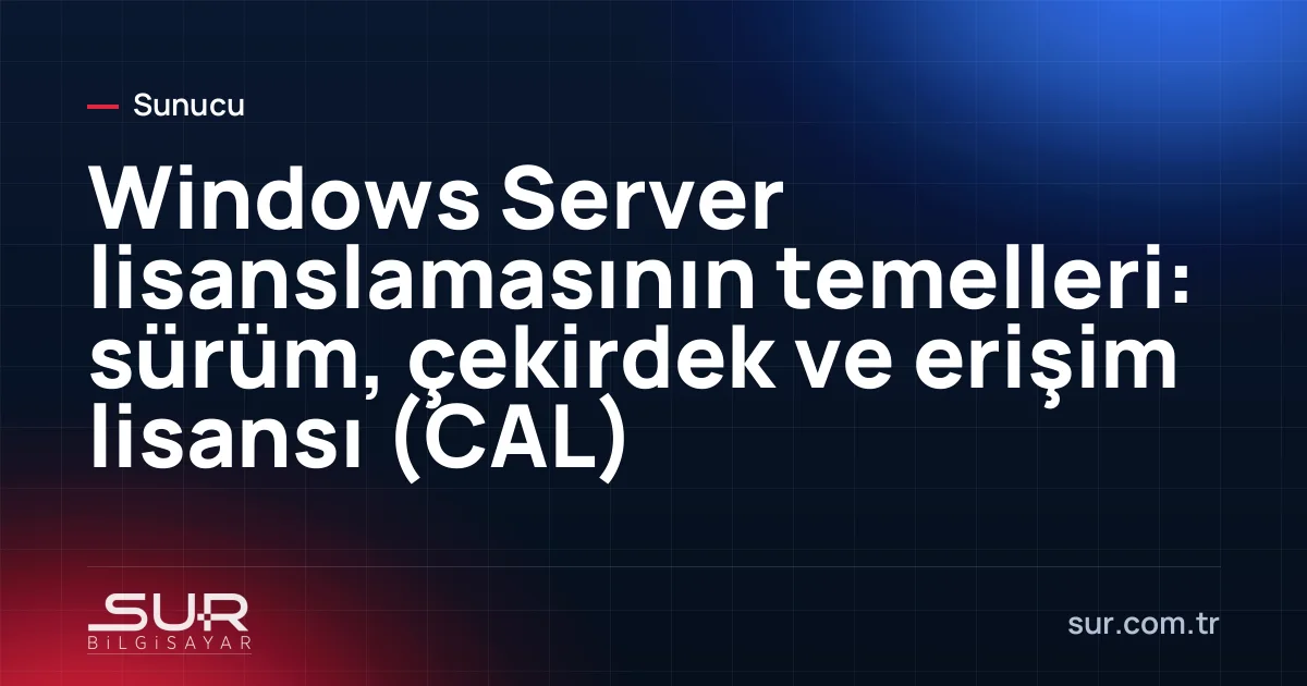 Sunucu lisans belgeleri ve kullanıcı erişim lisansı şeması